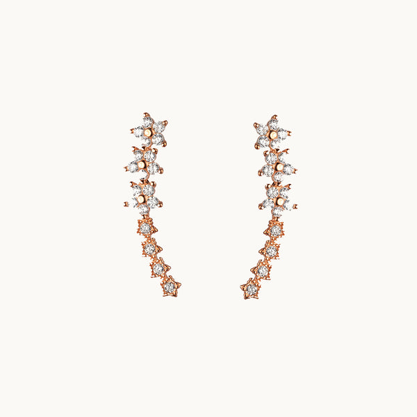 Une paire de boucles d'oreilles est exposée devant un fond beige.  Ce sont des boucles d'oreilles grimpantes avec étoiles et fleurs en strass.